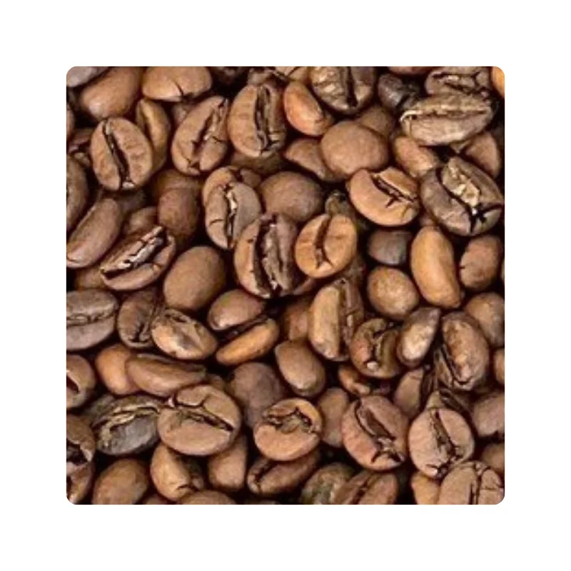 Roasted Arabica Material Durable Coffee Supplier Organic Coffee Customized Packaging Green Coffee Beans Vietnamese Manufacturer
