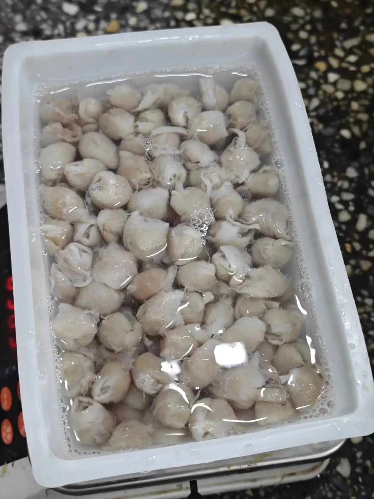 High Quality Frozen Squid Beak 10kg/ctn Seafood Frozen Giant Squid Beak