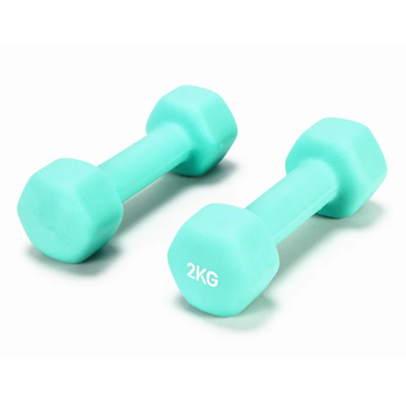 Wholesale Dumbbell High Quality Dumbbell Iron Cast Heavy Duty Strongman Gym Fitness Training