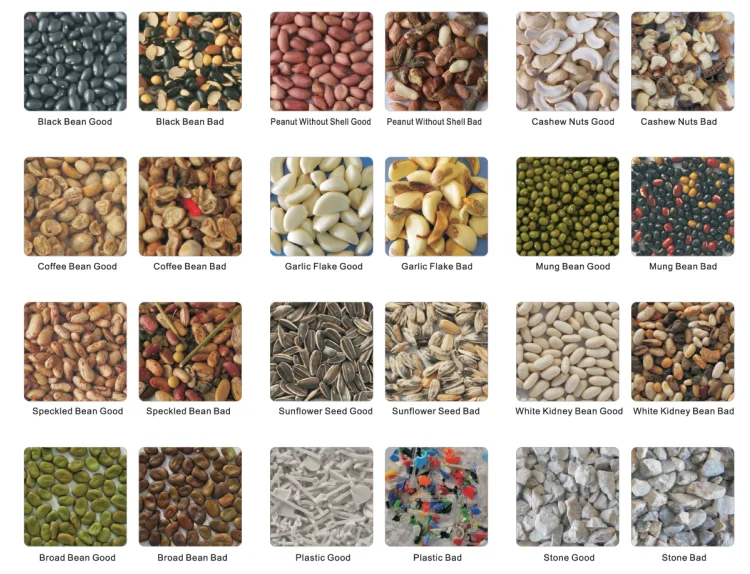 Seeds Corlor Sorter Machine For Different Raw Seeds Processing Line