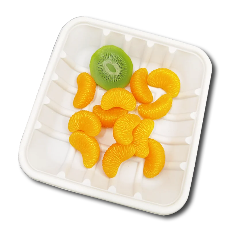 Rectangular disposable biodegradable corn starch food tray fruit plate food packaging container