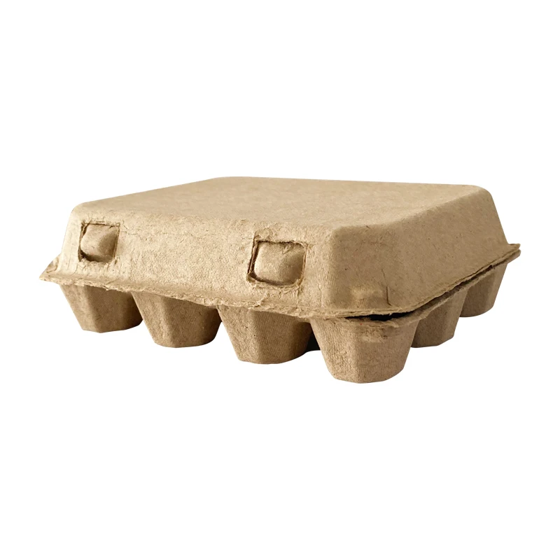 factory wholesales biodegradable paper fiber egg container 12 holes chicken cells carriers with lid rigid strong durable egg box