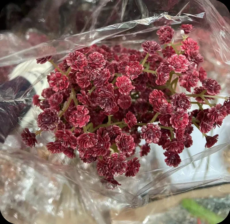 Hot Sale 81 Heads Haworthia Minima Silk Artificial Boutique Flowers Wedding Party Event Hotel Home Decorative Florals