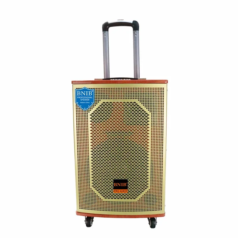 Trending 2022 Speakers Wireless Trolley Speaker Sound Equipment Amplifiers Speaker TF USB MIC ODM