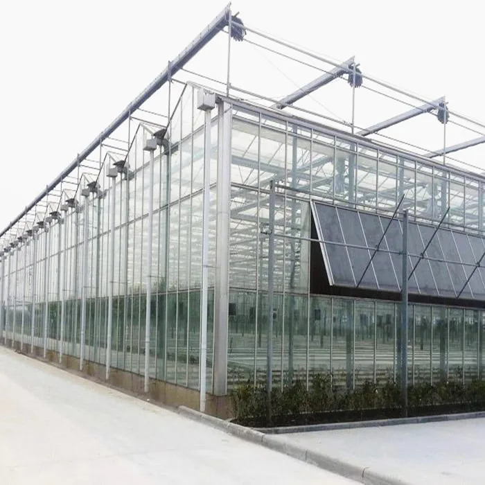 China Factory Price Galvanized Steel Frame Tomato Strawberry Growing Multi Span