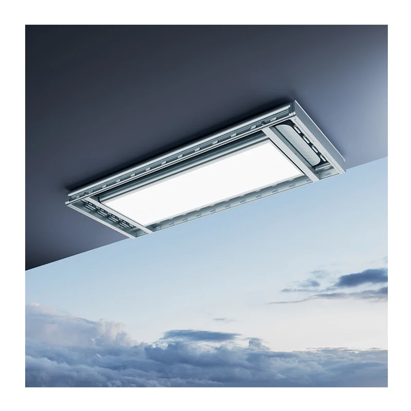 smart electric ceiling clothes drying clothe with Lighting automatic balcony home drying clothes rack 45KG