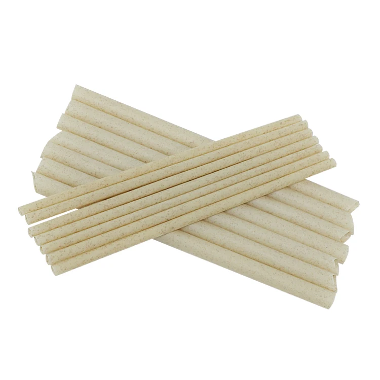 Popular in Europe and America 6mm 8mm 12mm Compostable Sugar Cane Bagasse Drinking Straw Sugarcane Straws