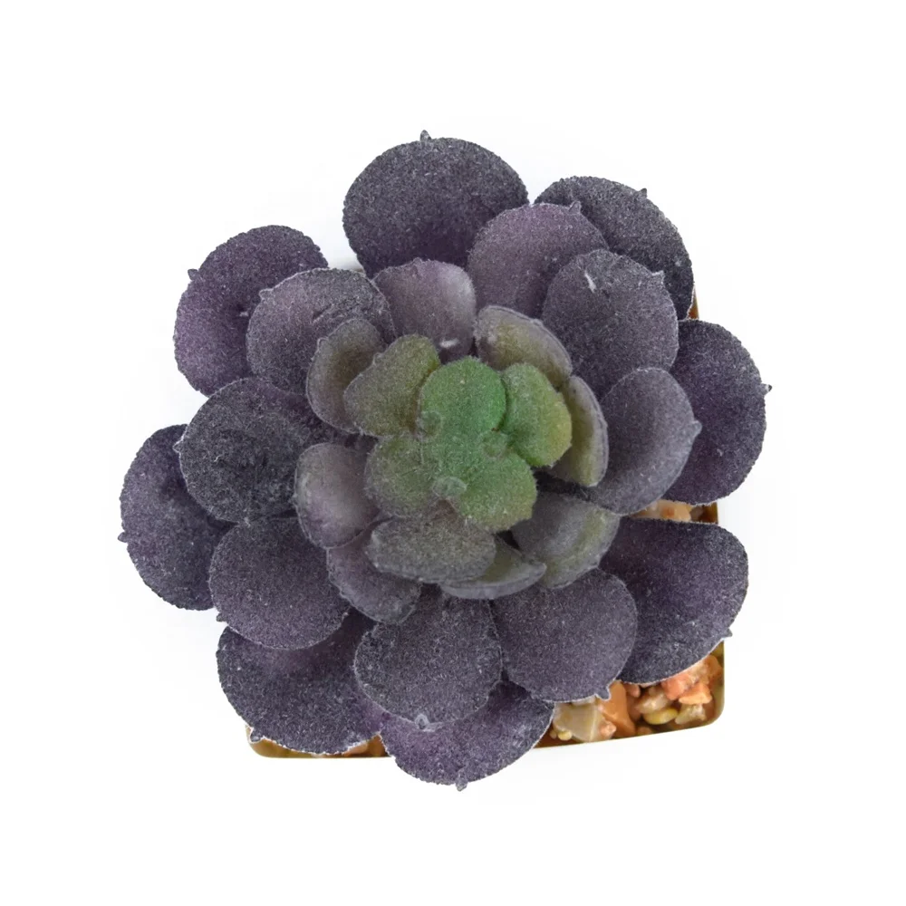 Succulents Home Decoration Square Pot Faux Plastic in Pot for Desktop Hotel Office Lifelike Succulent Plants in White Customized