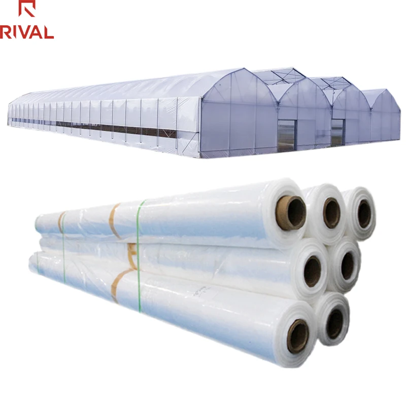 High quality transparent 200 micron plastic greenhouse covering film Green House Plastic Film