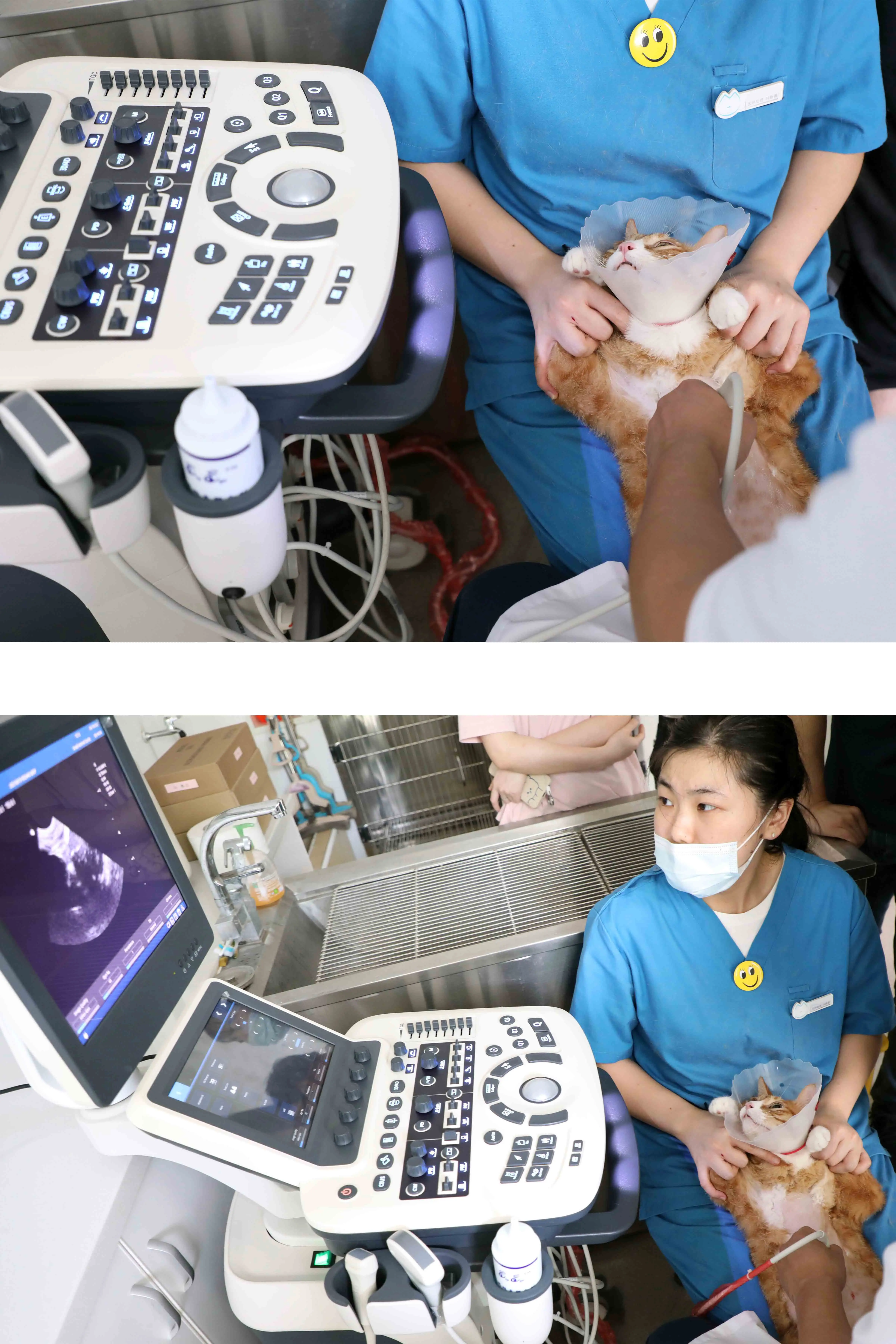 2023 New Arrival Zoncare P7 Trolley Veterinary Color Doppler 3D 4D Portable Ultrasound Machine Scanner Price