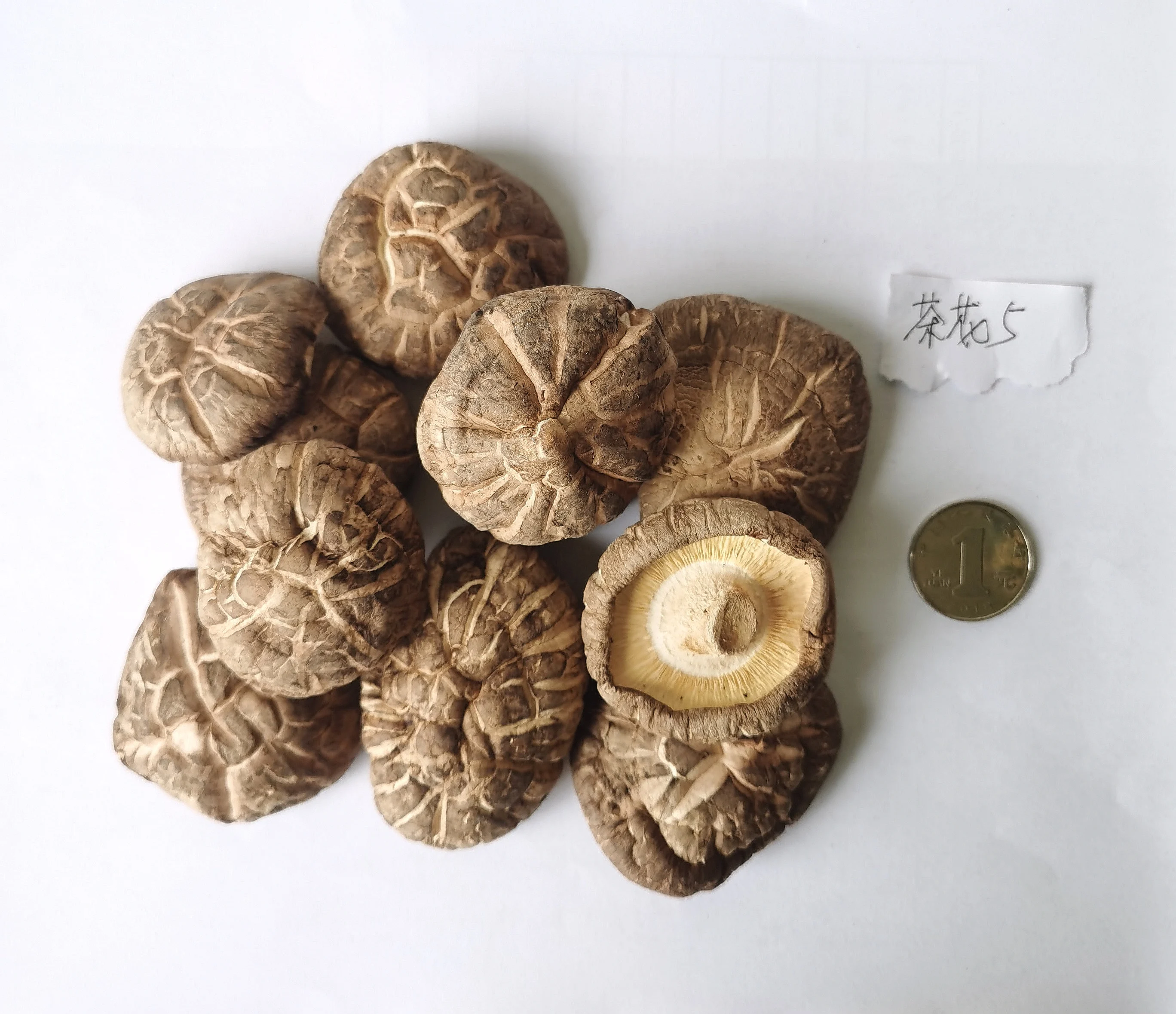 Dried tremella mushroom dried oyester mushroom buy dried chanterelle mushrooms