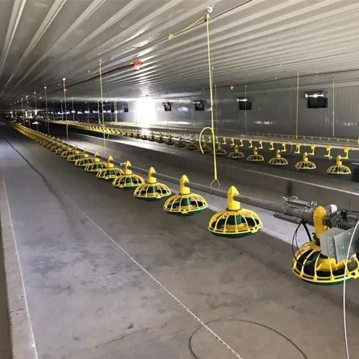 High quality plastic building material commercial egg chicken house design for layers