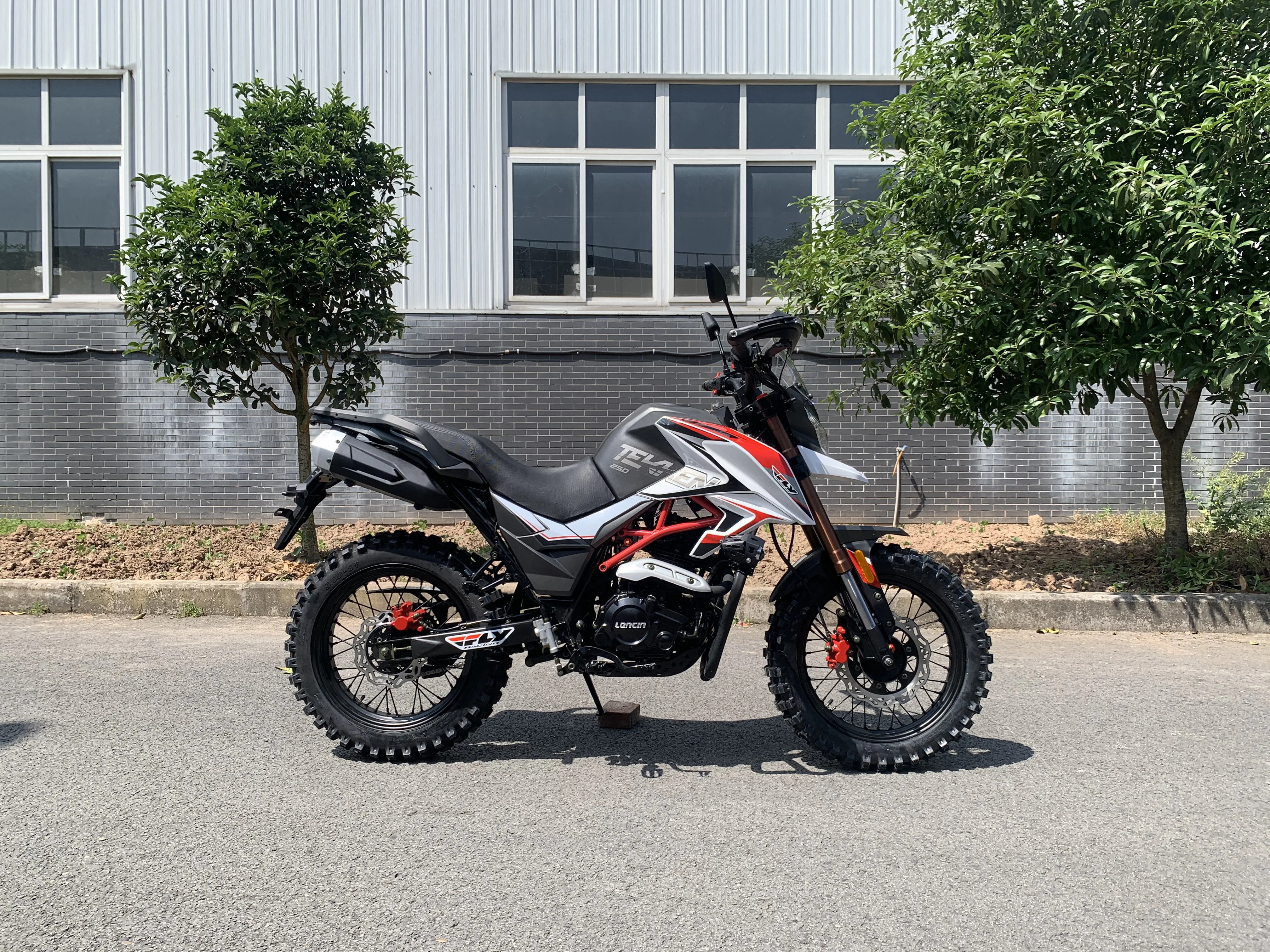 China motorcycles FUEGO TEKKEN 2 eec motorbike cheap for sale TEKKEN II 22110201