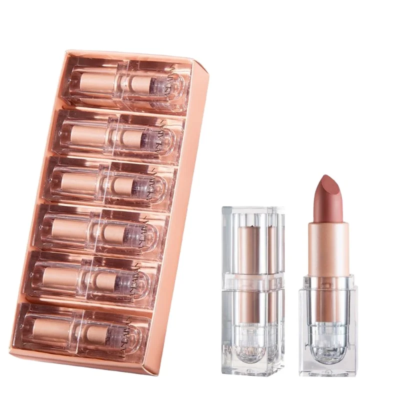 HANDAIYAN 6 Colors Velvet Matte Lipstick Waterproof Pigment Lipstick Long Lasting Lipstick Never Fade Lip Stick Makeup