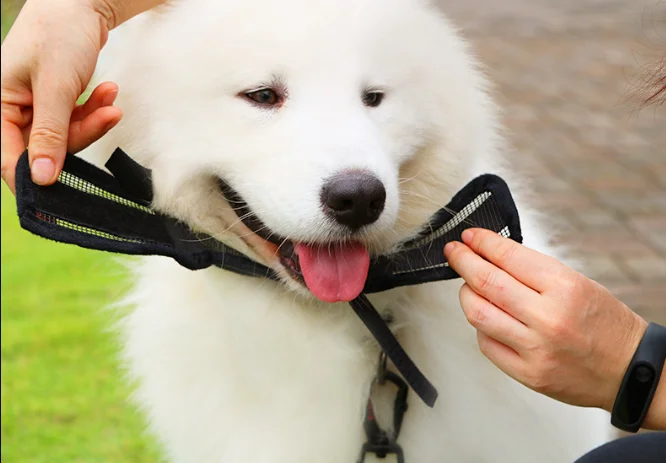 
Soft Nylon Mesh Pet Mouth Cover Anti Barking Dog Muzzle Pet Dog Adjustable Muzzle 