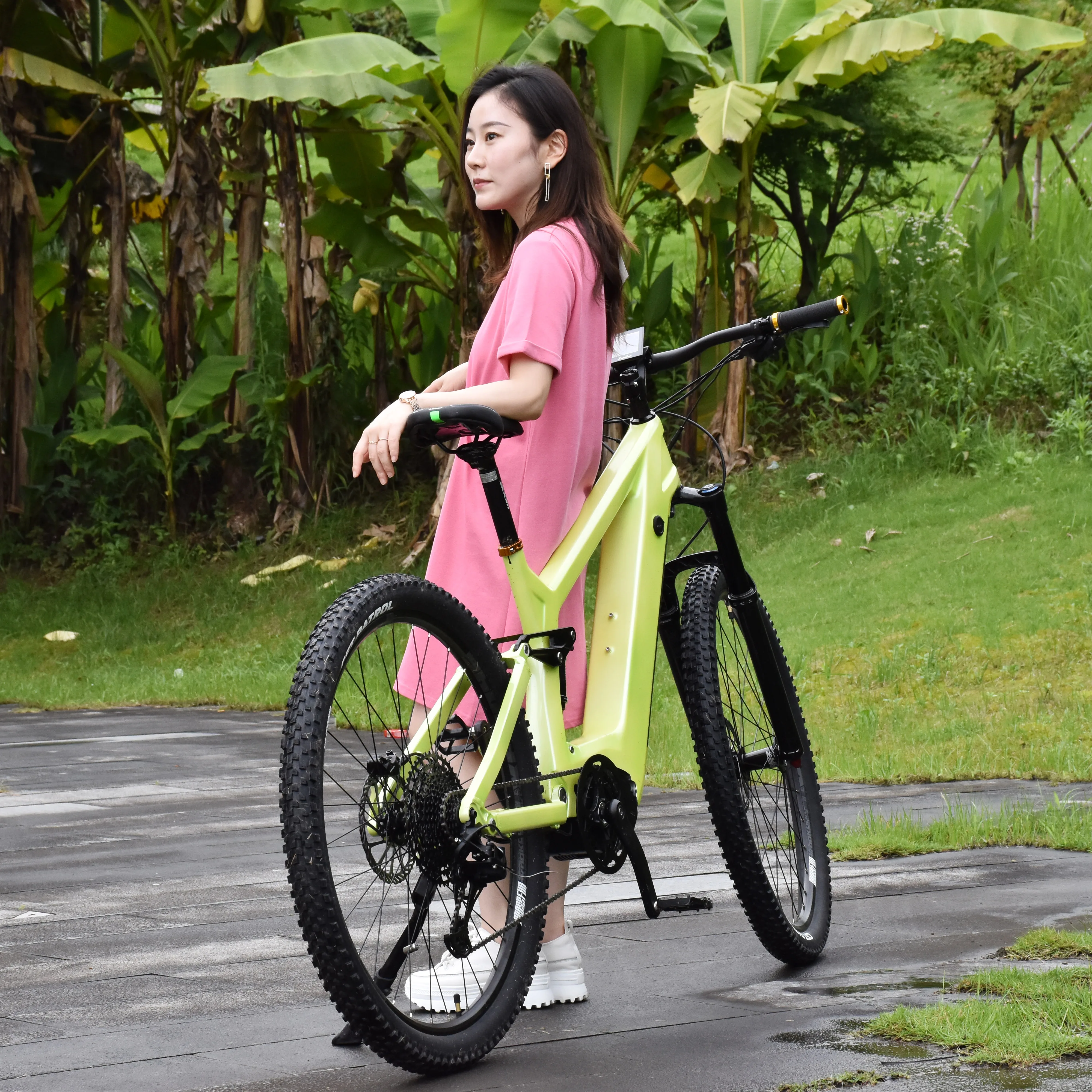 Ready for Shipment 26 4 0 Fat Tire Electric Mountain Bike Max Promax Motor Wall Frame Power Battery Torque Time Fun Charging Hub