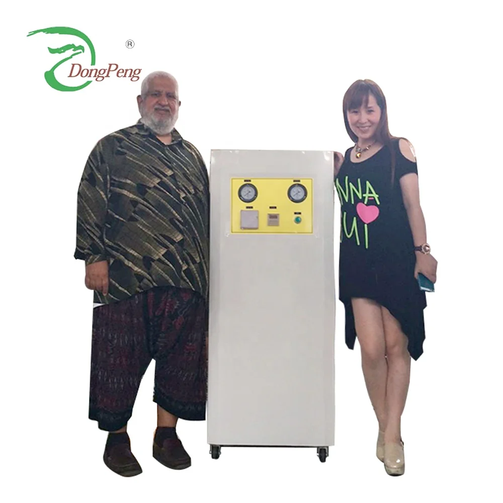 Dongpeng Brand small capacity nitrogen for food packing industry made in China nitrogen gas price