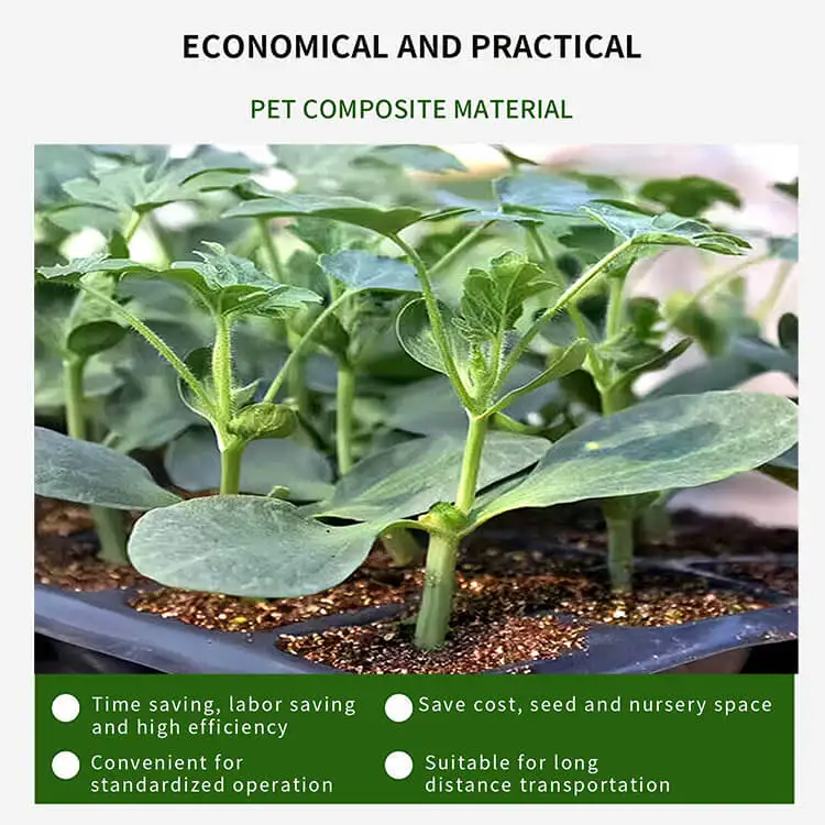 XZ105 Polypropylene Hard PP Plastic Tree Seedling Tray 105 Holes Plants Growing Tray 535 x 266 x 60 mm