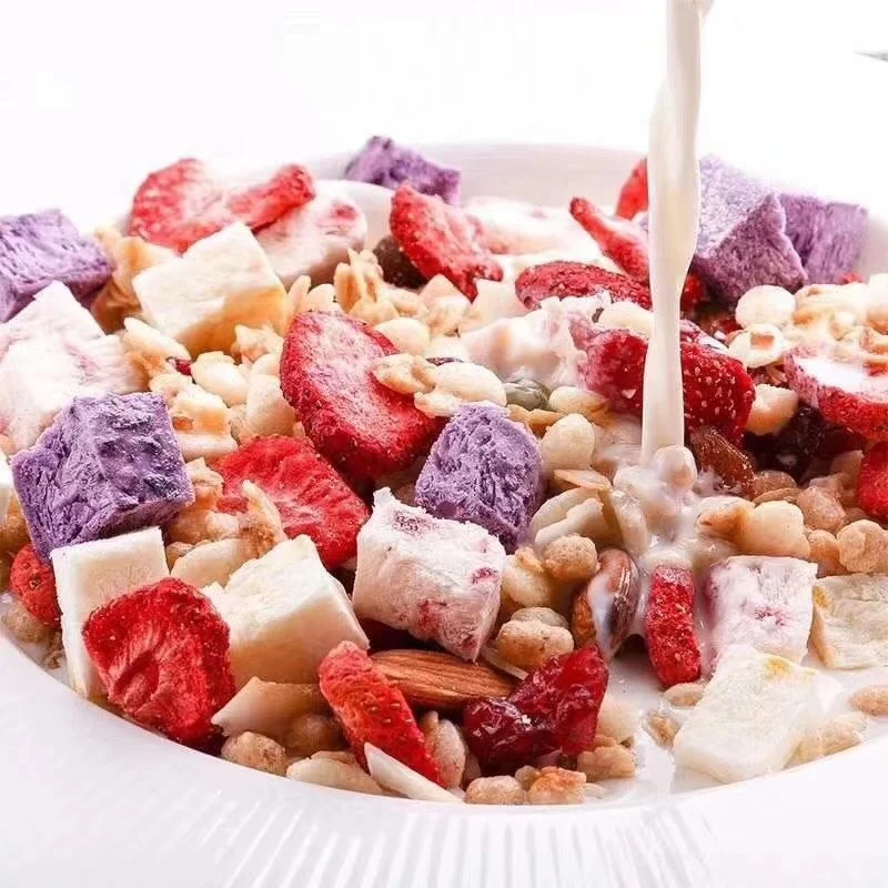 Popular Low MOQ Healthy Food OEM ODM quality nutritious infant snack Probiotics freeze-dried fruit yogurt candy melts