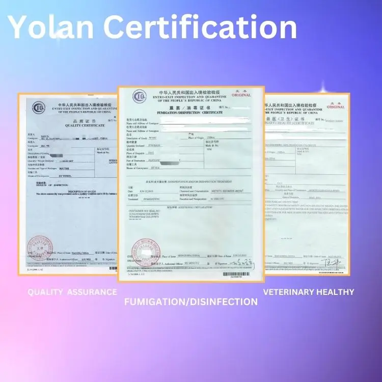 Yolan Certification.jpg