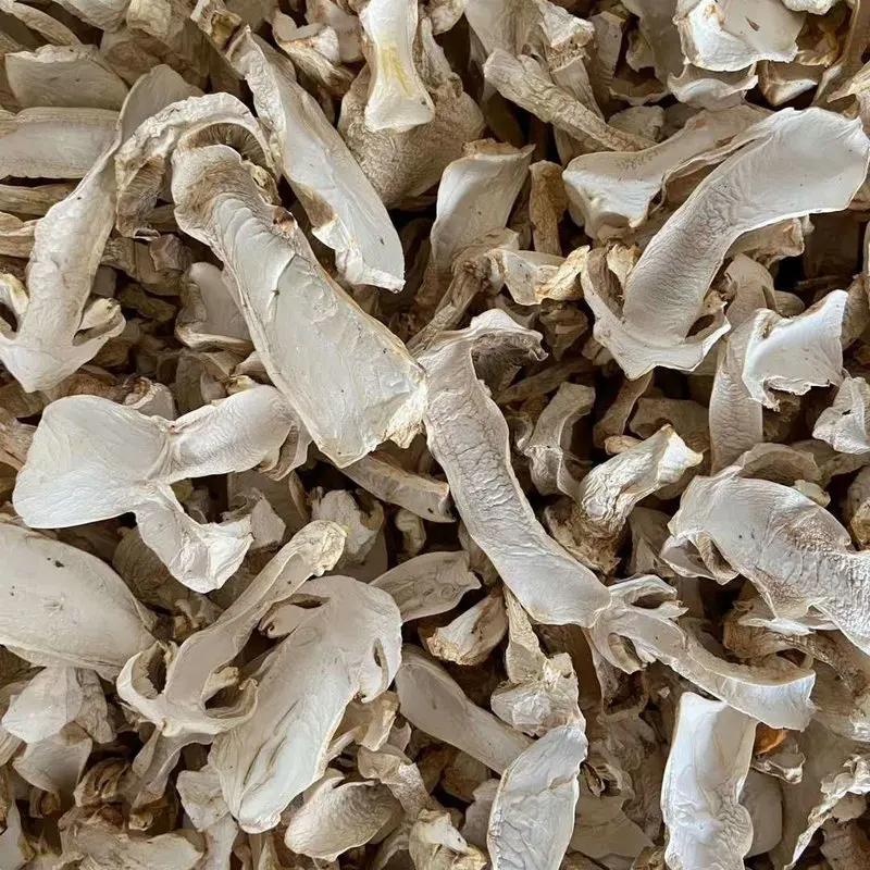 
Whole Pure Natural Freeze Dried Mushrooms Matsutake Freeze Dried Funghi Matsutake 