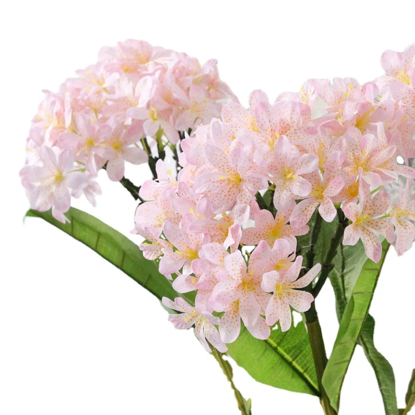 Shininglife Brand wholesale countertop home decoration flower orchid