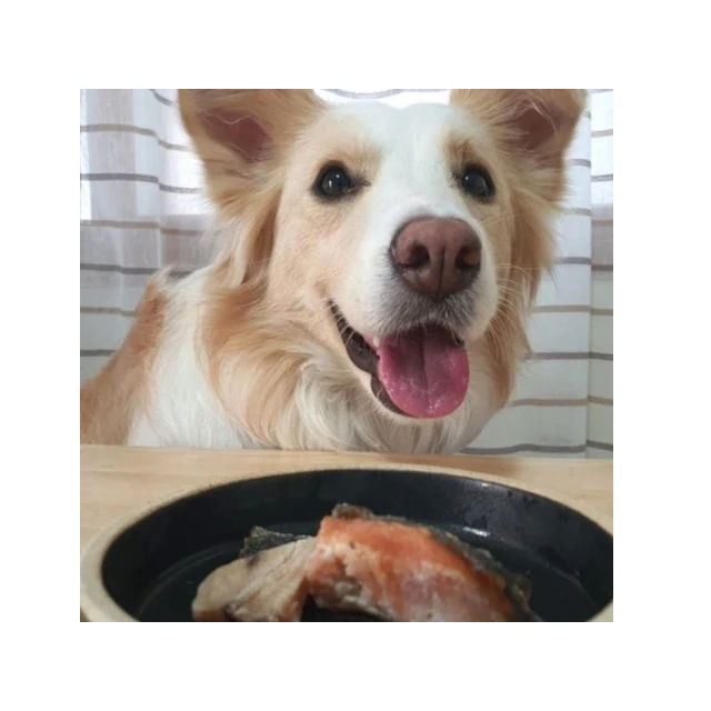 Новейшая тенденция здоровый и безопасный корм для домашних животных сделанный в Корейском стиле полный ассортимент закусок оригинальная Сушеная Рыба