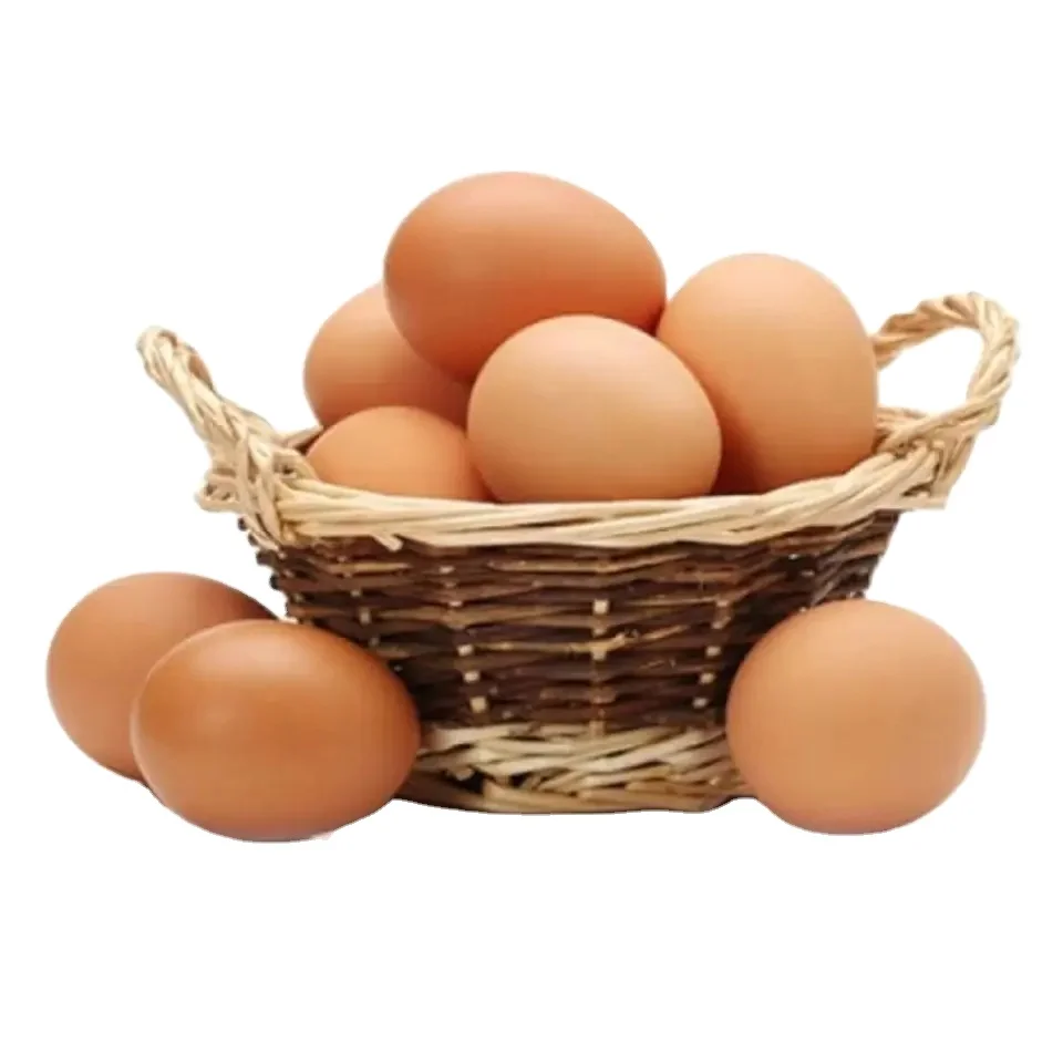 Best Quality Fresh Brown Table Chicken Eggs Cheap Fresh Chicken Table Eggs Fresh Chicken in bulk Brown Eggs from Brazil