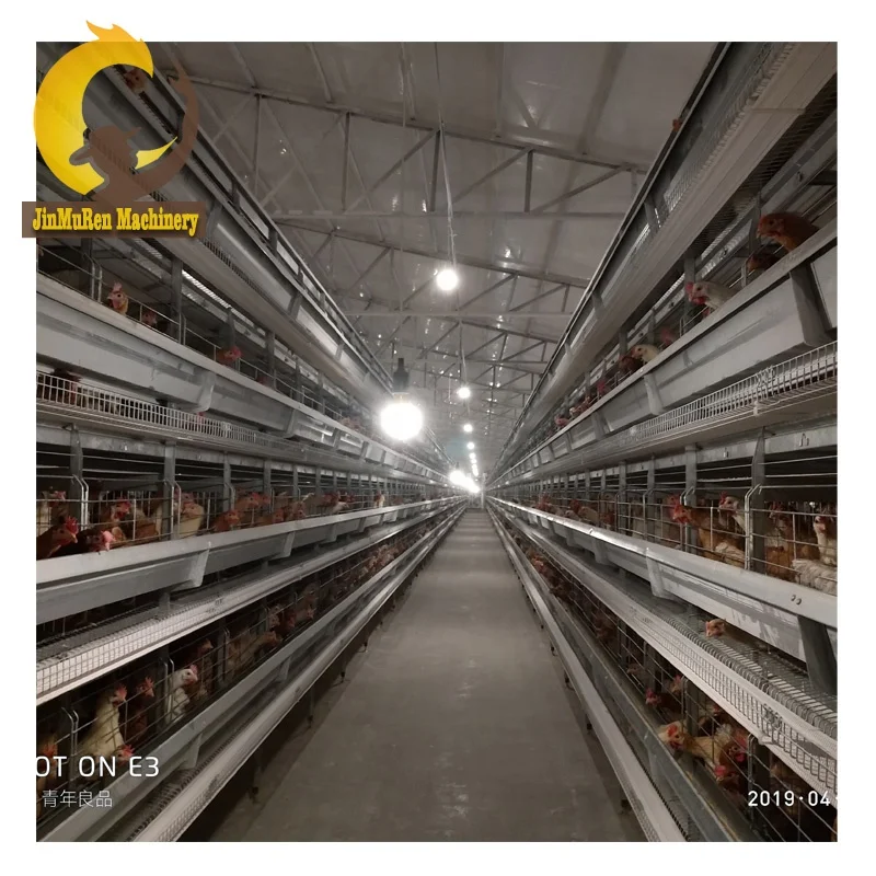 Jinmuren Factory Making H Type Chicken Farming Equipment with Automatic Feeders Drinkers for Laying Hens