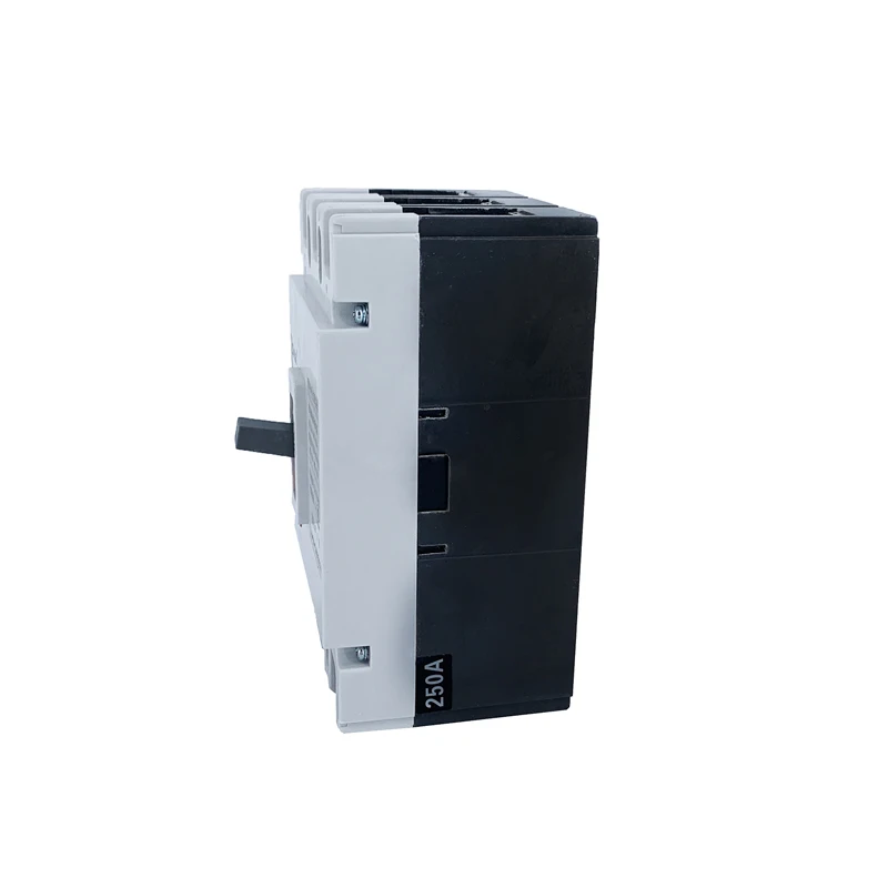 miniature moulded case circuit breaker CTM1-250L 100A to250A mccb main 200a 2p electrical earth leakage two poles