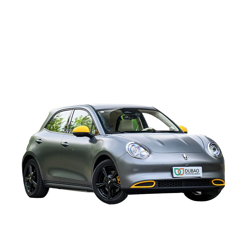 Special Hot Selling The Cute Retro Look Of Lithium Iron Phosphate Battery Electric Car Single Speed Transmission Euler Good Cat