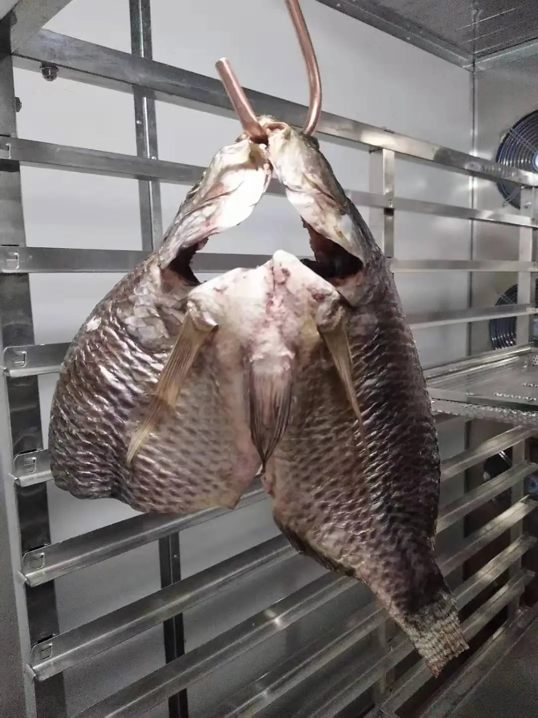 MEIYA Heat Pump industrial cold air Fish Maw Dryer Meat Dry Machine Drying Equipment Meat Dehydrator beef jerky dryer