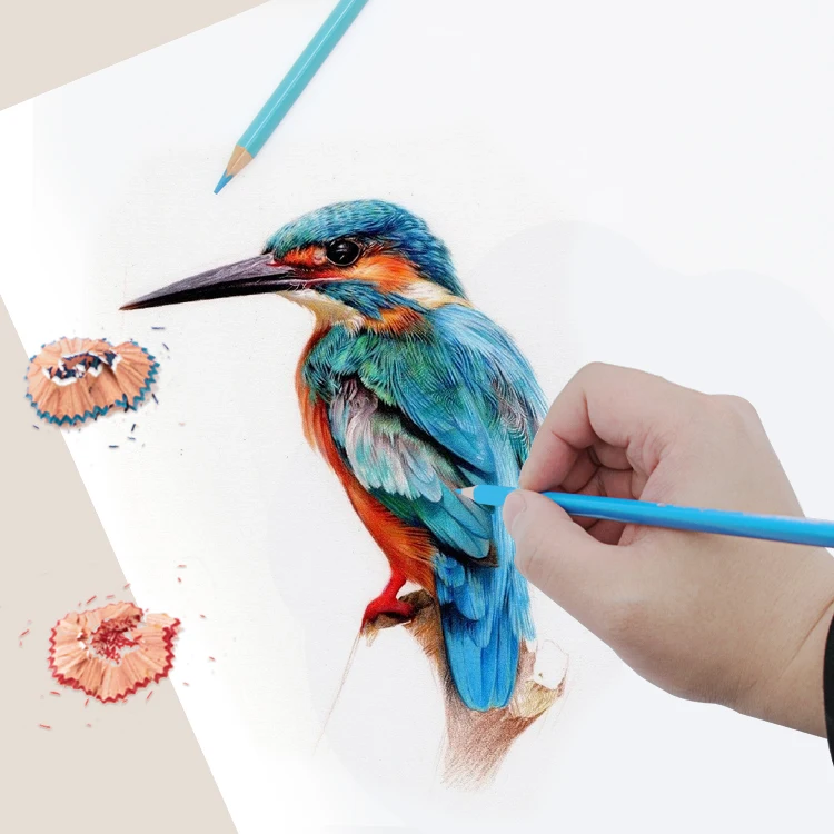 Yalong Custom Wholesale Pencils 12 Color Student Art Supplies Painting Colored Pencils For Children