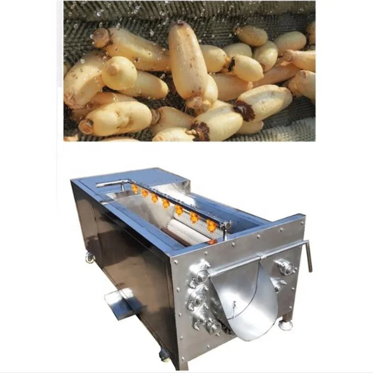 Industrial small Carrot ginger peeling machine sweet potato washing and peeling machine Brush cleaning peeling machine price