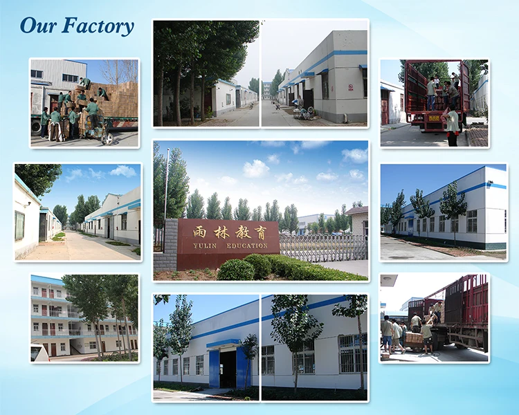 Medical Science Multifunctional Models for Ear Examination and Treatment Procedures Human Care