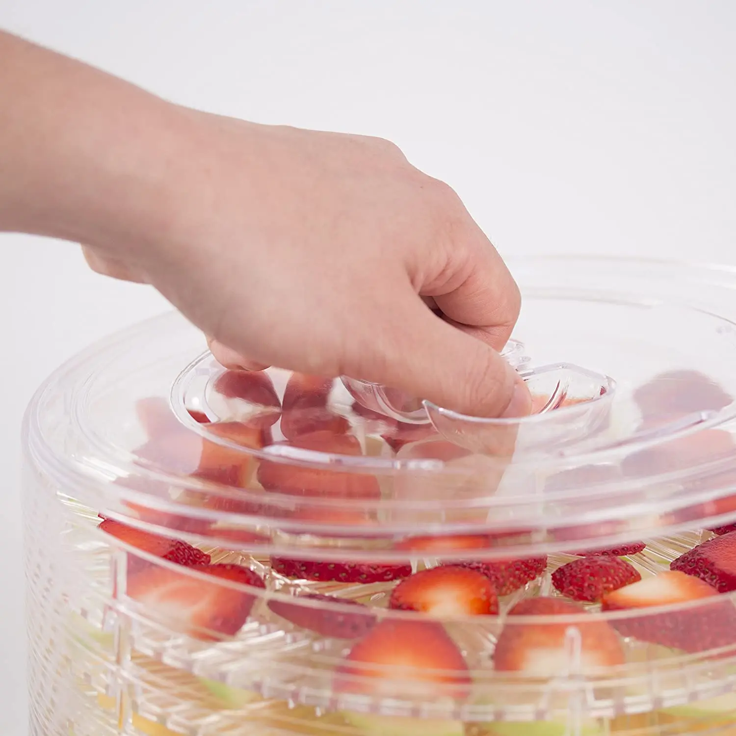 New Table Top Food Dryer for Mango Fish Garlic Drying Machine Multi Tray Fruit And Vegetable Food Dehydrator with thermostat