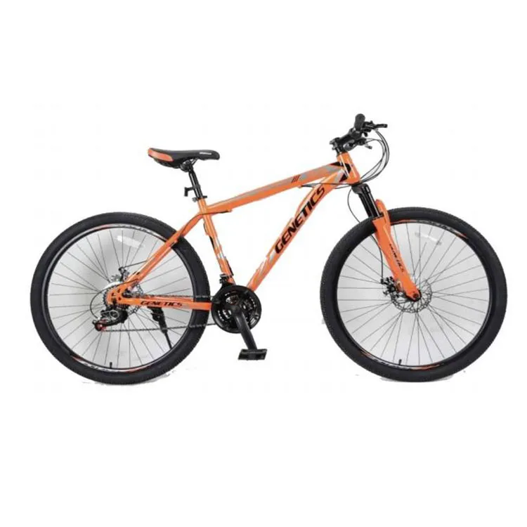 china city  sports  cheap importer professional mountain bike