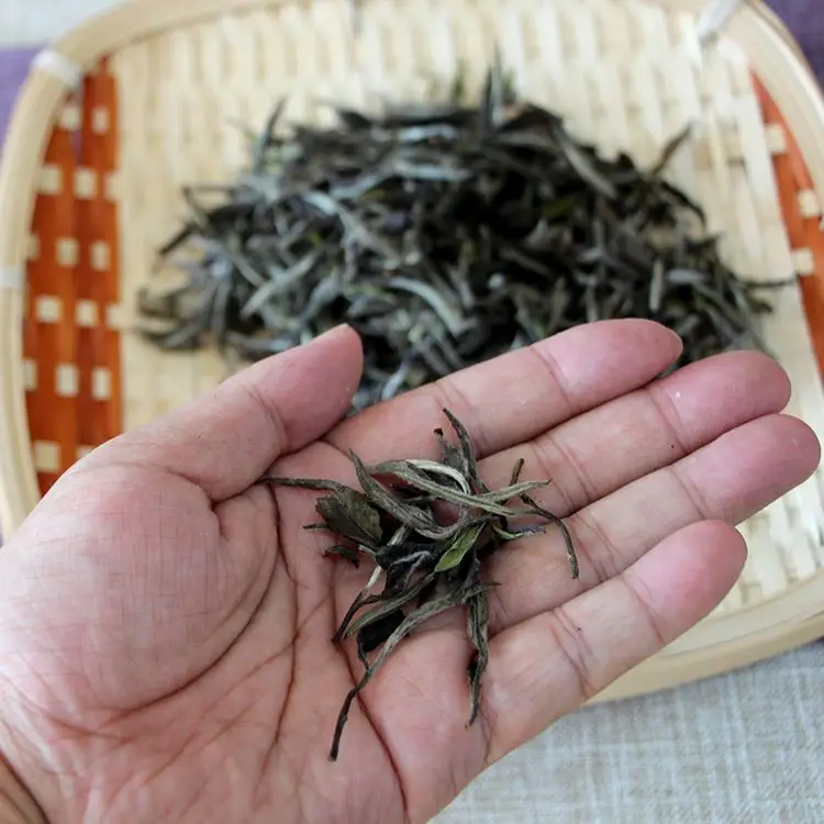 Organic Loose Leaf Tea Roasted Green Tea Hojicha for wholesale 100g