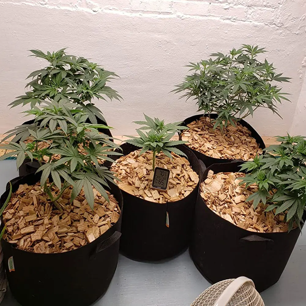 Free Sample Custom Size 1 Gallon Nursery Personalized Plant Fabric Biodegradable Eco-Friendly Plant Grow Bags