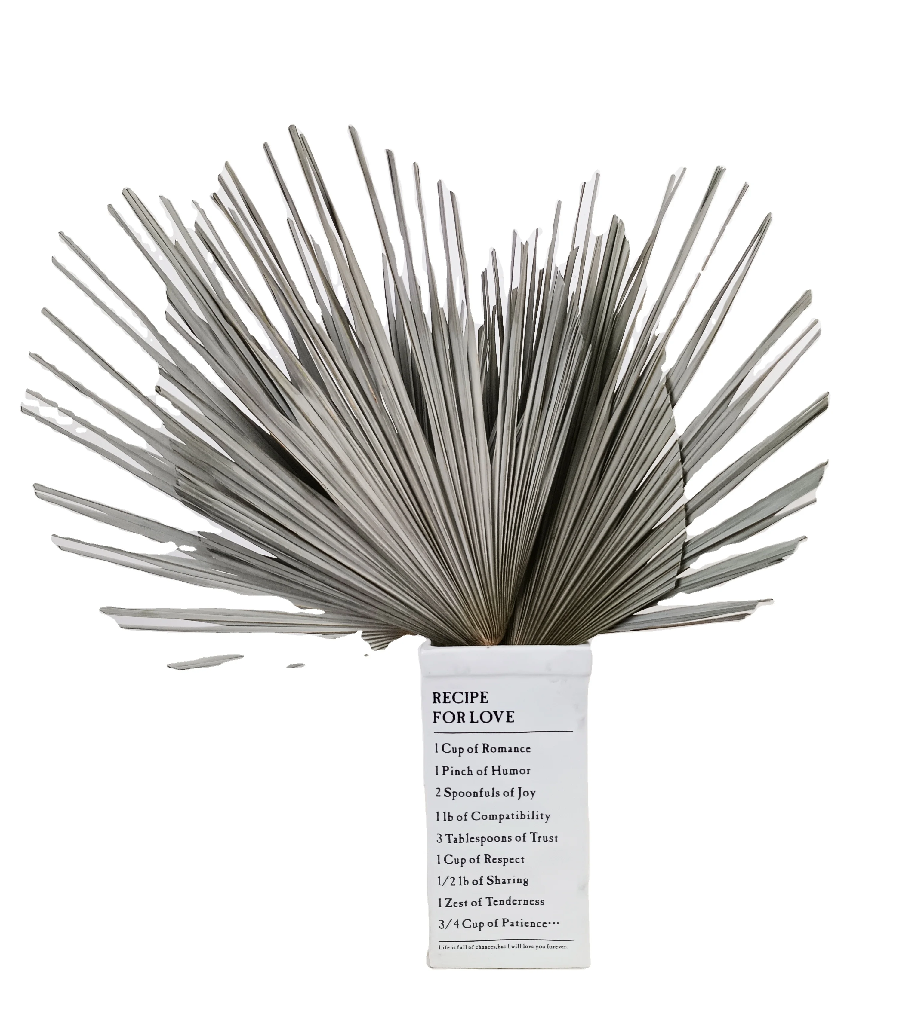 dried  natural spear palm fronds, sun fans, bifurcated spraying shape leaves,original Chinese supplier cheapest