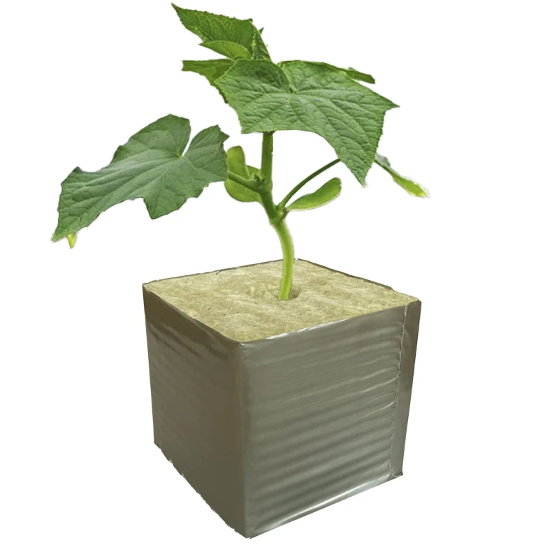 2 Inches Growing Cubes Hydroponic Rock Wool 50x50x50mm Rock Wool Hydroponic Seedling Clone Plugs