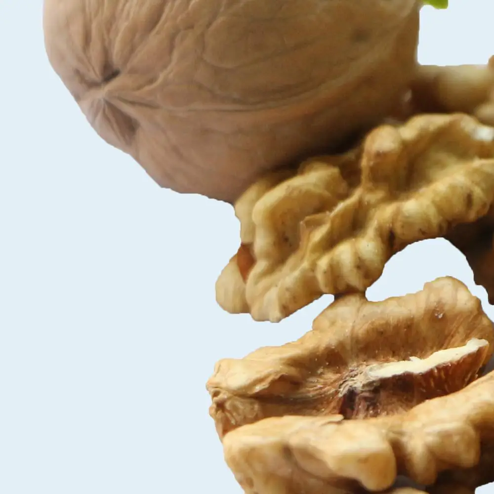 
Chinese xinjiang paper skin walnut inshell new stock high quality 