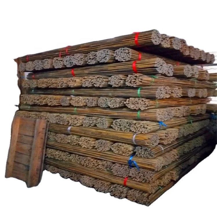 Tonkin bamboo from Fujian ,dry bamboo poles