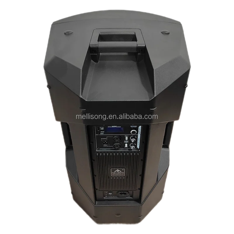 professional 12-Inch Two-Way Active Loudspeaker for Wedding Parties Audio System PA Monitor with Stage outdoor pro audio