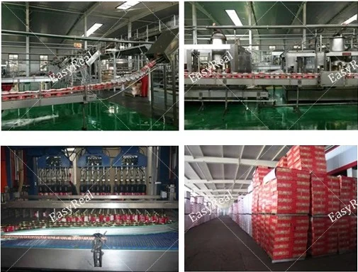 Small Mini Scale Industrial Tomato Sauce Paste Ketchup Processing Machinery Plants Making Machine Unit