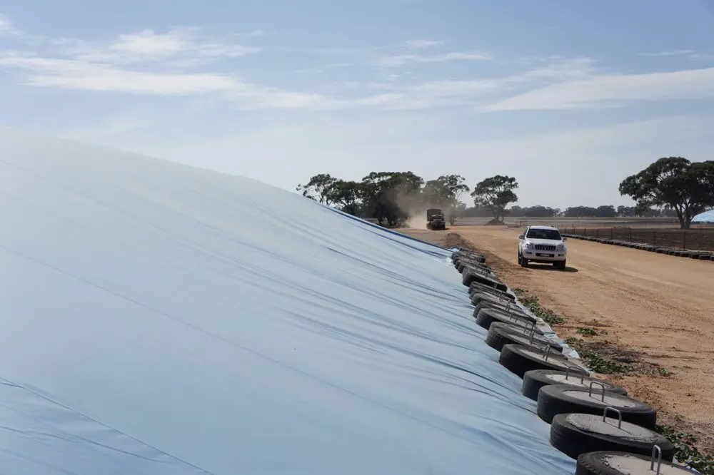 5.5 Mil 6 Mil 10 Mil Thick 10 X 100 Polyethylene Panda Film Black White Plastic Sheeting Roll