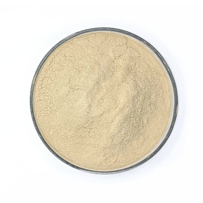cheap price flavors powder snacks general seasoning food brewers yeast extract powder