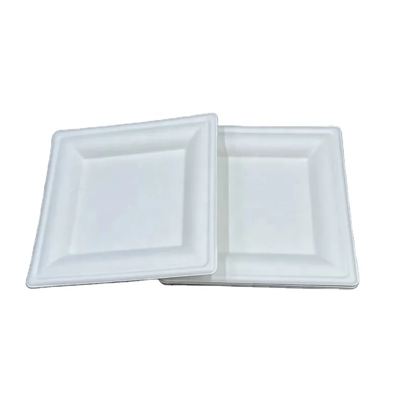 China Design Wholesale Eco Friendly and Customizable Sugarcane Bagasse Paper Plates