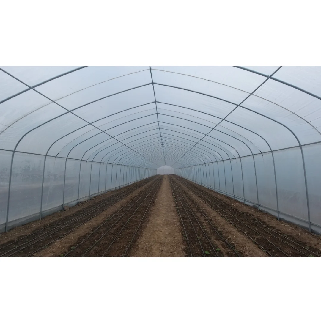 1 Set 6x15m 25mm Round Pipe PO Film Plastic Green House Single Tunnel Tomato Greenhouse Agricultural Hoop House