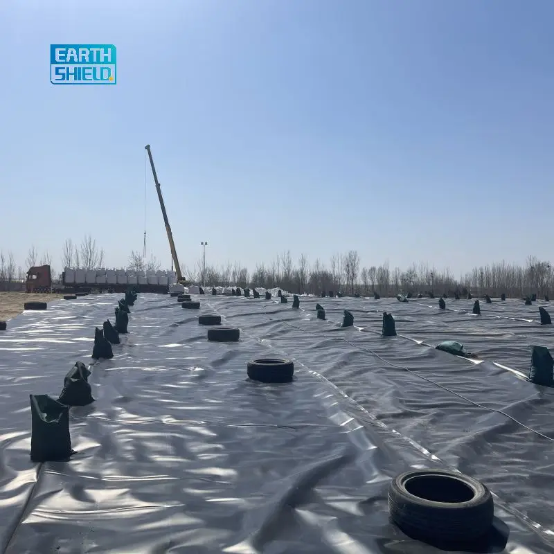 0.75mm 1mm  Black Color 100% New Virgin HDPE Geomembrane Popular for Fian Farm Fish Pond Liner